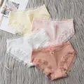 Women's Briefs Underwear Women Fancy Charming Flower Pattern Panties Lace Embroidered Transparent Sexy Panties Female Underpants